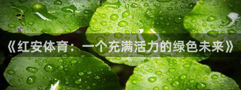 杏耀体育平台总代理