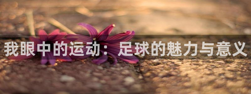 杏耀体育平台开号链接