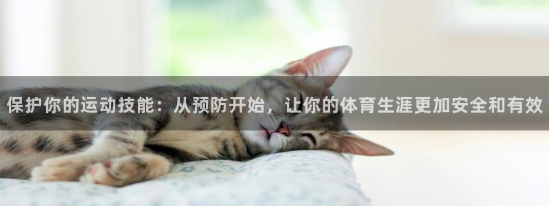 杏耀3代理