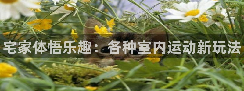 杏耀平台登录网址