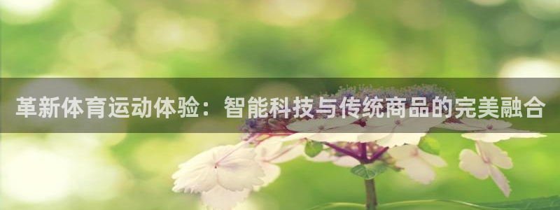 杏耀注册