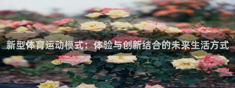 杏耀体育凯捷代理注册