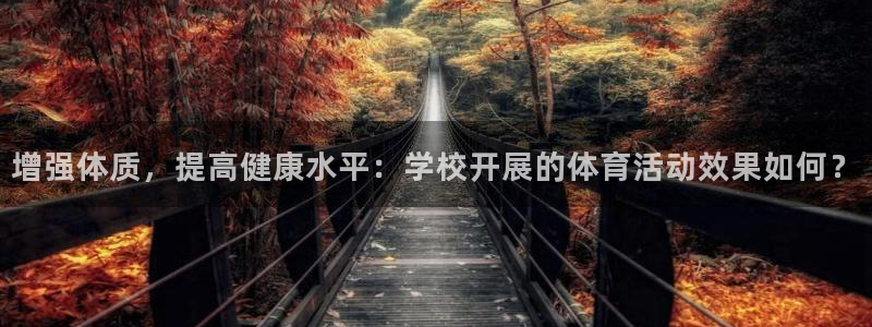 杏耀体育和杏耀是哪个公司的