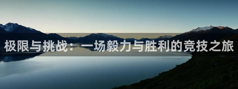杏耀能源