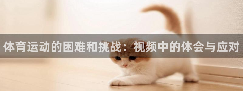 杏耀登录线路测速