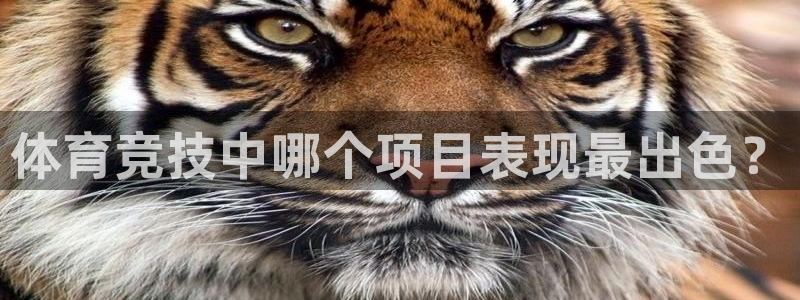 杏耀体育凯捷代理注册