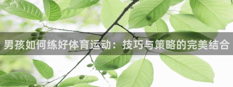 杏耀体育注册登录入口