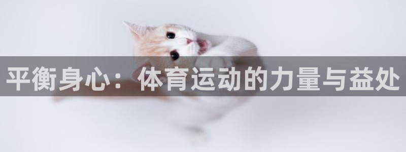 杏耀3