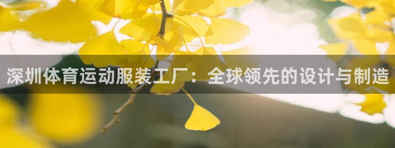 杏耀平台测速最新版本更新内容