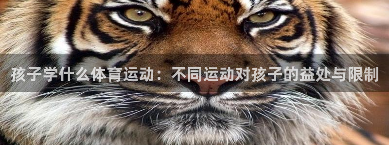 杏耀体育凯捷登陆