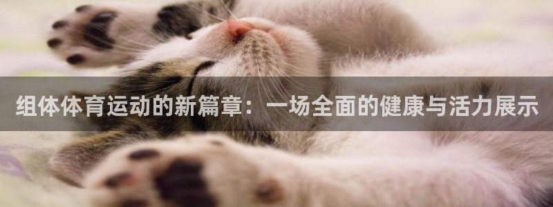 杏耀体育2官网入口