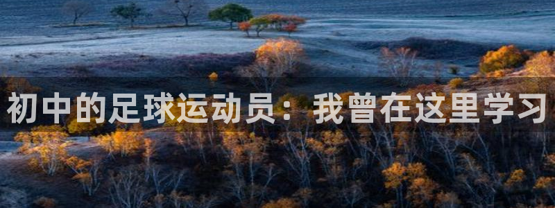 上海杏耀汽车电子有限公司