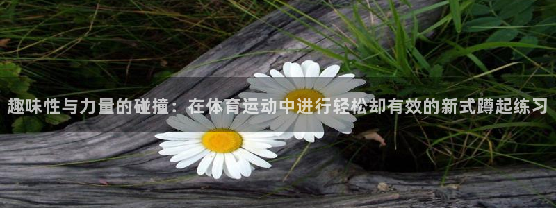 杏耀平台登录官网