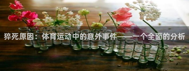 杏耀手机登录线路测速